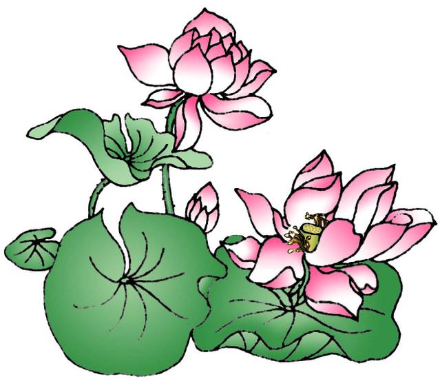 Graphic Design Lotus Flower Clearharmony Falundafa in Europe